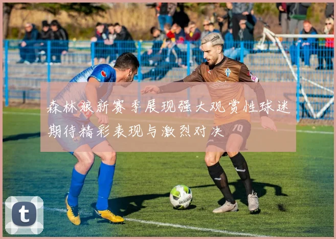 森林狼新赛季展现强大观赏性球迷期待精彩表现与激烈对决